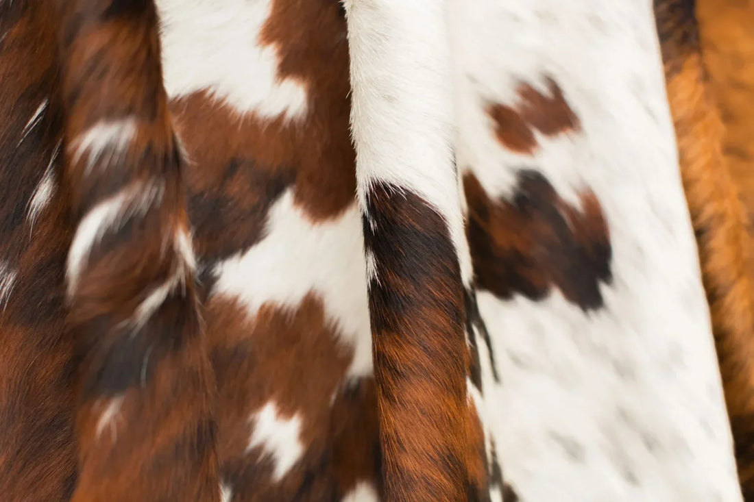 Cowhide Care 101: Keeping Your Piece Timeless