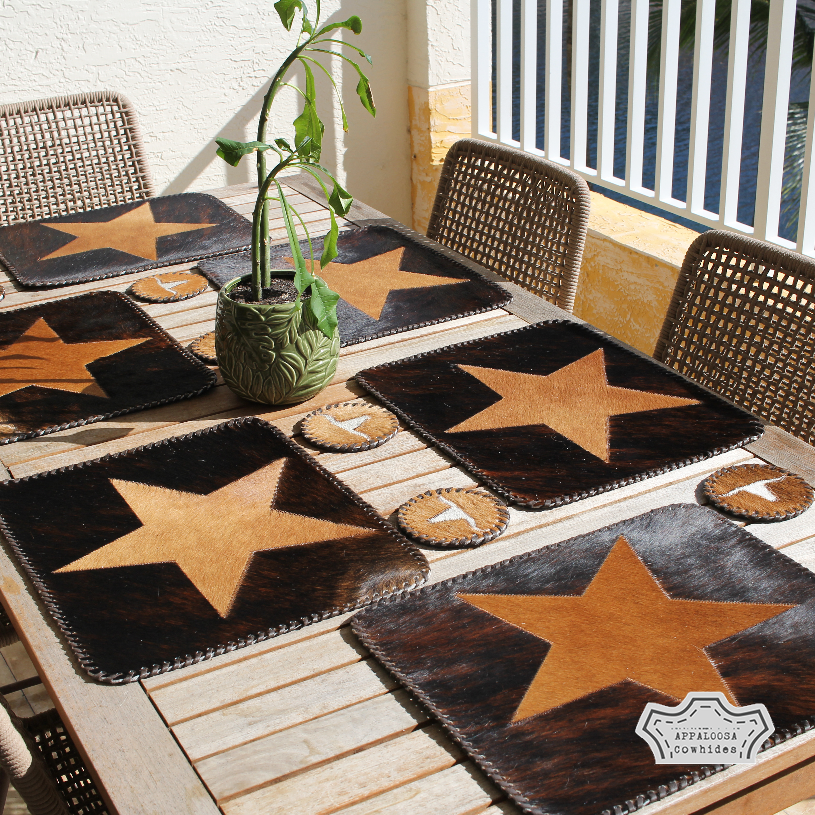 Cowhide Star Placemats