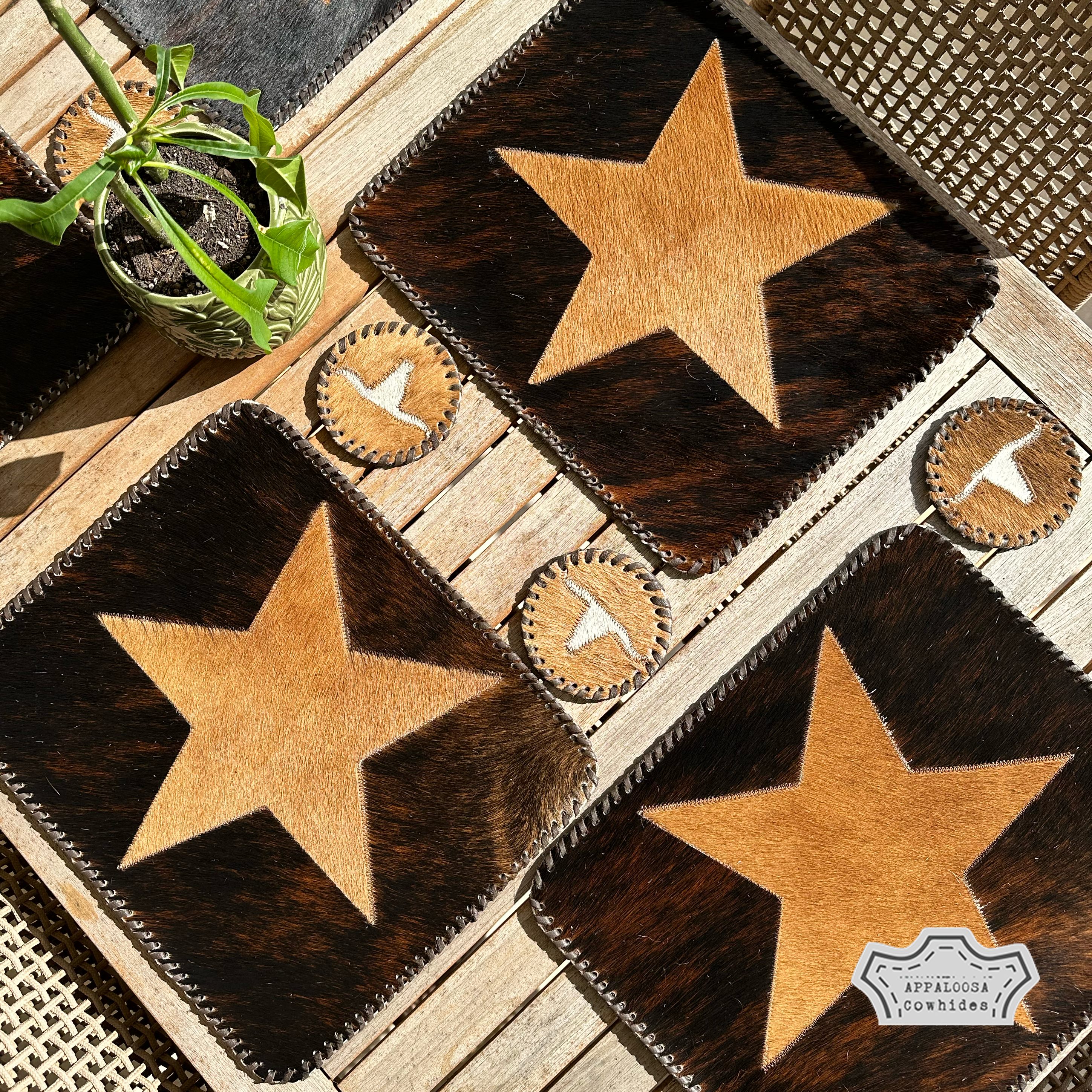 Cowhide Star Placemats
